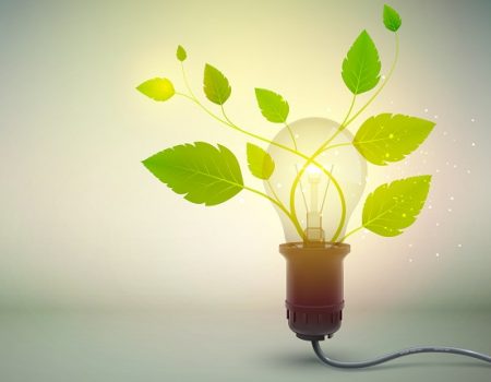 Yellow light bulb idea abstract background poster with electric equipment and green blossom growing from power-outlet as flower pot vector illustration